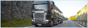 Transport ciężarowy, samochodowe transport towarowy, ładunki dla transport drogowy, powrotne pojazdy dla przewóz towarów, dostawa ładunku.